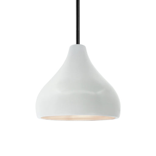 Radiance One Light Pendant