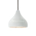 Justice Designs - CER-6560-WTWT-NCKL-RIGID - One Light Pendant - Radiance - Gloss White (outside and inside of fixture)