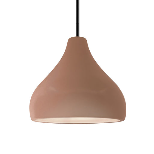 Radiance One Light Pendant