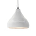 Justice Designs - CER-6563-BIS-MBLK-BKCD - One Light Pendant - Radiance - Bisque