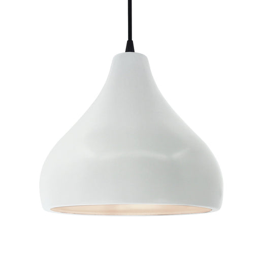 Radiance One Light Pendant