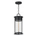 Maxim - 30636CDBKP - One Light Outdoor Pendant - Windsor - Black Patina