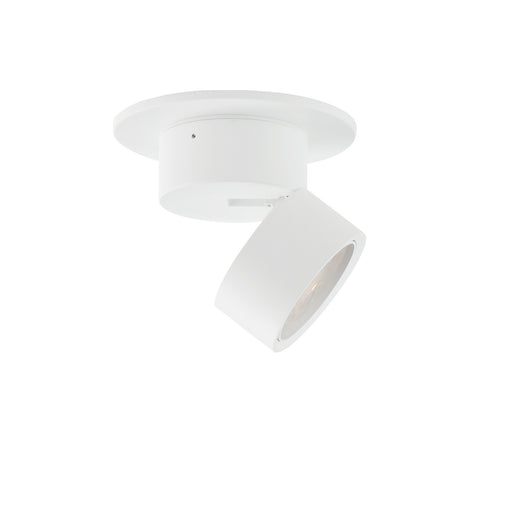 Swinger LED Flush Mount