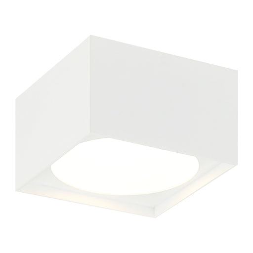 Caravon LED Ceiling Mount