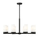 Z-Lite - 3044-8MB - Eight Light Chandelier - Danica - Matte Black