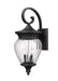Z-Lite - 5016B-BK - Four Light Outdoor Wall Sconce - Davina - Black