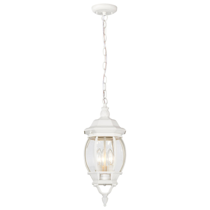 Nuvo Lighting - 60-894 - Three Light Hangng Lantern - Central Park - White