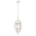 Nuvo Lighting - 60-894 - Three Light Hangng Lantern - Central Park - White