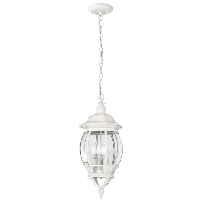 Nuvo Lighting - 60-894 - Three Light Hangng Lantern - Central Park - White