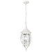Nuvo Lighting - 60-894 - Three Light Hangng Lantern - Central Park - White