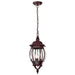 Nuvo Lighting - 60-895 - Three Light Hangng Lantern - Central Park - Old Bronze