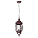 Nuvo Lighting - 60-895 - Three Light Hangng Lantern - Central Park - Old Bronze