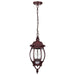 Nuvo Lighting - 60-895 - Three Light Hangng Lantern - Central Park - Old Bronze