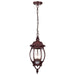 Nuvo Lighting - 60-895 - Three Light Hangng Lantern - Central Park - Old Bronze