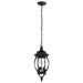 Nuvo Lighting - 60-896 - Three Light Hangng Lantern - Central Park - Textured Black
