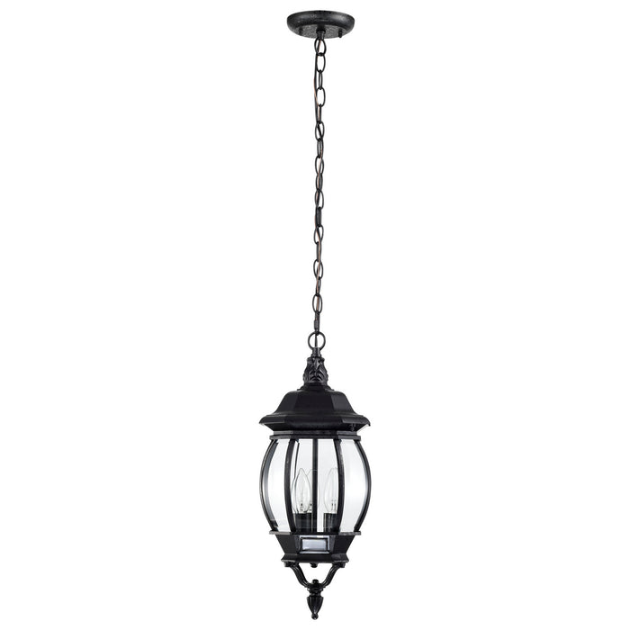 Nuvo Lighting - 60-896 - Three Light Hangng Lantern - Central Park - Textured Black