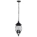 Nuvo Lighting - 60-896 - Three Light Hangng Lantern - Central Park - Textured Black