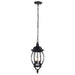 Nuvo Lighting - 60-896 - Three Light Hangng Lantern - Central Park - Textured Black