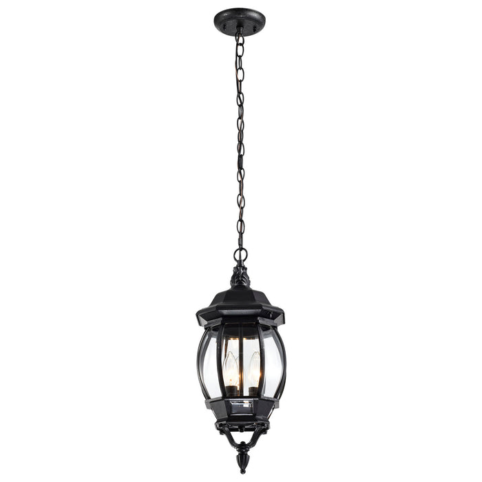 Nuvo Lighting - 60-896 - Three Light Hangng Lantern - Central Park - Textured Black