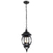 Nuvo Lighting - 60-896 - Three Light Hangng Lantern - Central Park - Textured Black