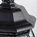 Nuvo Lighting - 60-896 - Three Light Hangng Lantern - Central Park - Textured Black