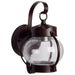 Nuvo Lighting - 60-631 - One Light Wall Lantern - Onion Lantern - Old Bronze