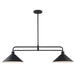 Trans Globe Imports - 11763 BK - Two Light Linear Pendant - Roscoe - Black