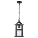 Trans Globe Imports - 51684 BK - One Light Outdoor Pendant - Prado - Black