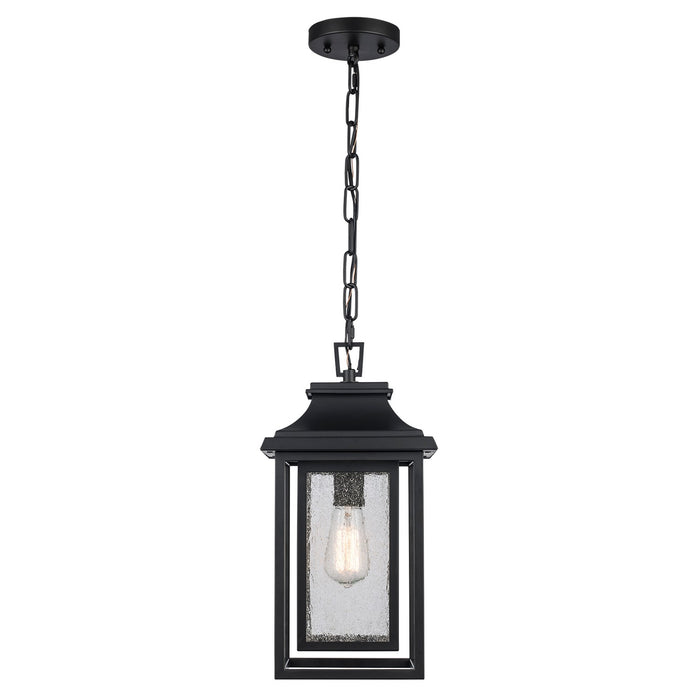 Trans Globe Imports - 51694 BK - One Light Outdoor Pendant - Bosque - Black