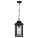 Trans Globe Imports - 51694 BK - One Light Outdoor Pendant - Bosque - Black