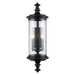 Trans Globe Imports - 51702 BK - Two Light Outdoor Wall Lantern - PathLume - Black