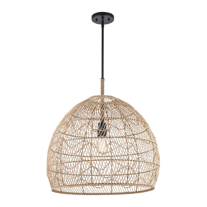 Trans Globe Imports - PND-2249 BK - One Light Pendant - Reef - Black