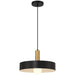 Access - 23798-BWA - One Light Pendant - Slate - Black with Antique Brushed Brass