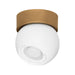 Troy Lighting - C1406-PBR/SWH - One Light Flush Mount - Odin - Patina Brass And Soft White