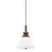 Troy Lighting - F4212-PBR/BRZ - One Light Pendant - Staton - Patina Brass/Bronze