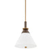 Troy Lighting - F4216-PBR/BRZ - One Light Pendant - Staton - Patina Brass/Bronze