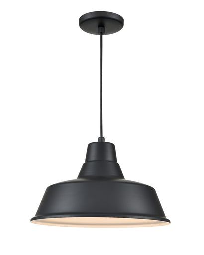 R Series One Light Pendant