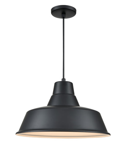 R Series One Light Pendant