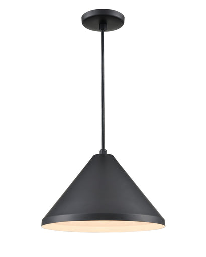 R Series One Light Pendant