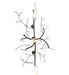 Meyda Tiffany - 273962 - Five Light Chandelier - Winter Solstice - Costello Black