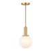 Meridian - M7050NB - One Light Pendant - Natural Brass