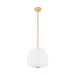 Hudson Valley - 3015-AGB - LED Pendant - Scranton - Aged Brass