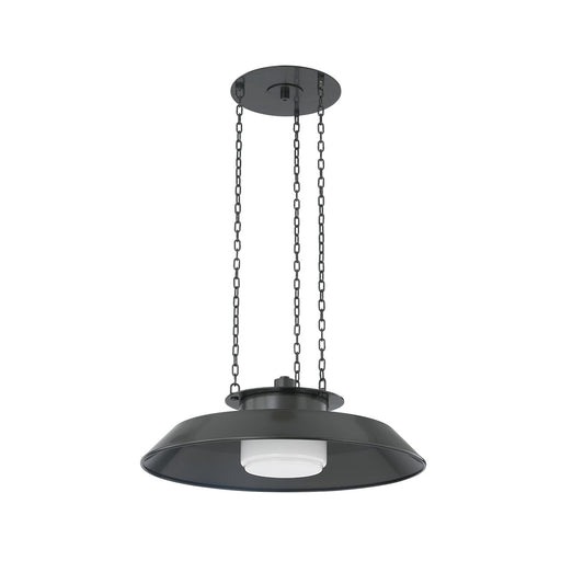 Woodrow One Light Pendant