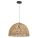 Vaxcel - P0405 - One Light Pendant - Nassau - Matte Black