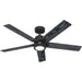 Hunter - 52850 - 52"Ceiling Fan - Erling - Matte Black