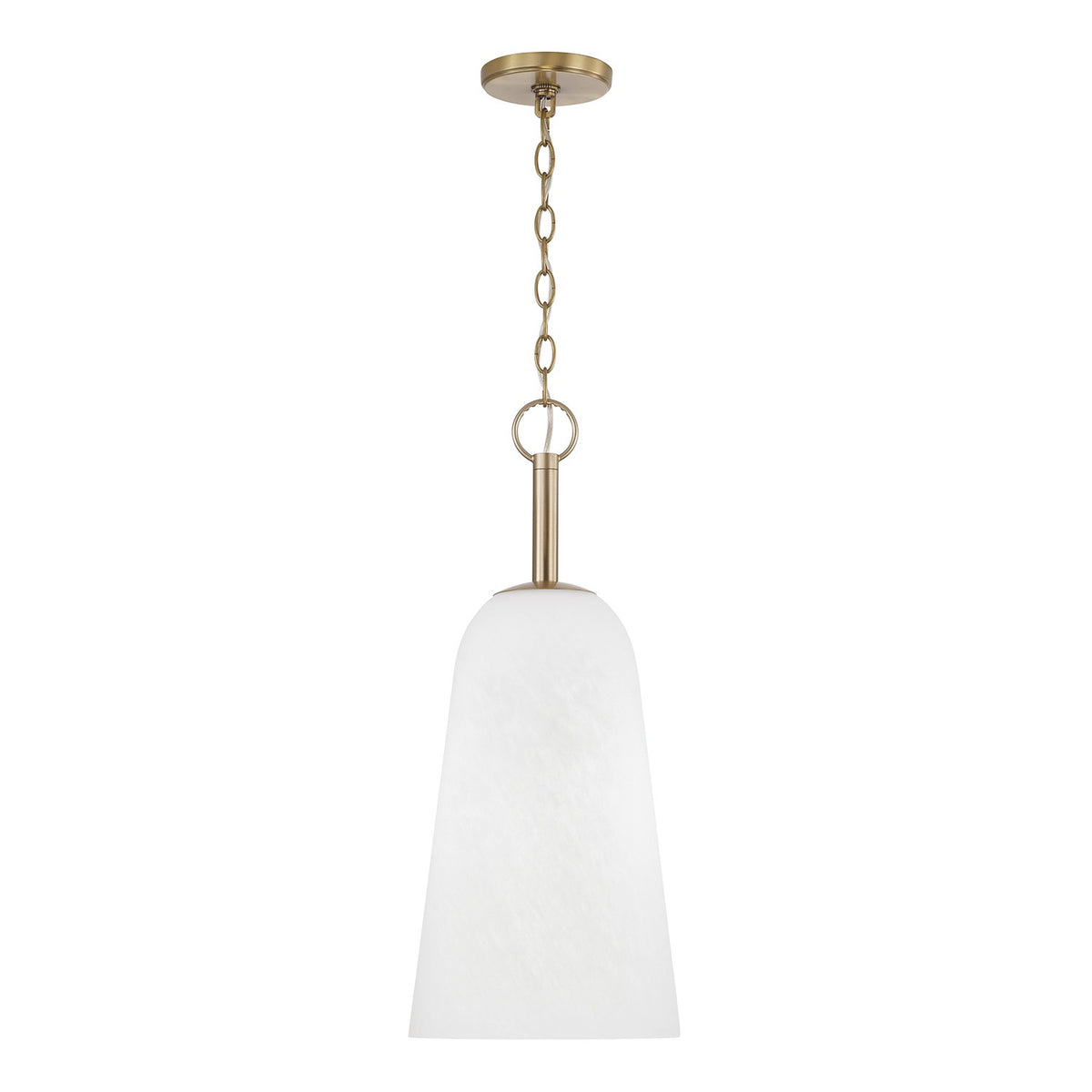 Gabriella☺︎ Capital Lighting - 356911MA - One Light Pendant - Romy