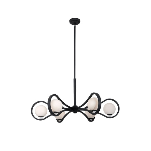 Elliptical LED Pendant Matte Black