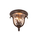 Kalco - 9017BB - Two Light Outdoor Flush Mount - Santa Barbara Outdoor - Burnished Bronze