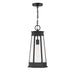 Savoy House - 5-208-BK - One Light Outdoor Hanging Lantern - Payne - Matte Black