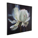 Uttermost - 32445 - Wall Art - Peony - Black